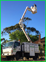 Cherry Picker Boom Lift Truck for Photography